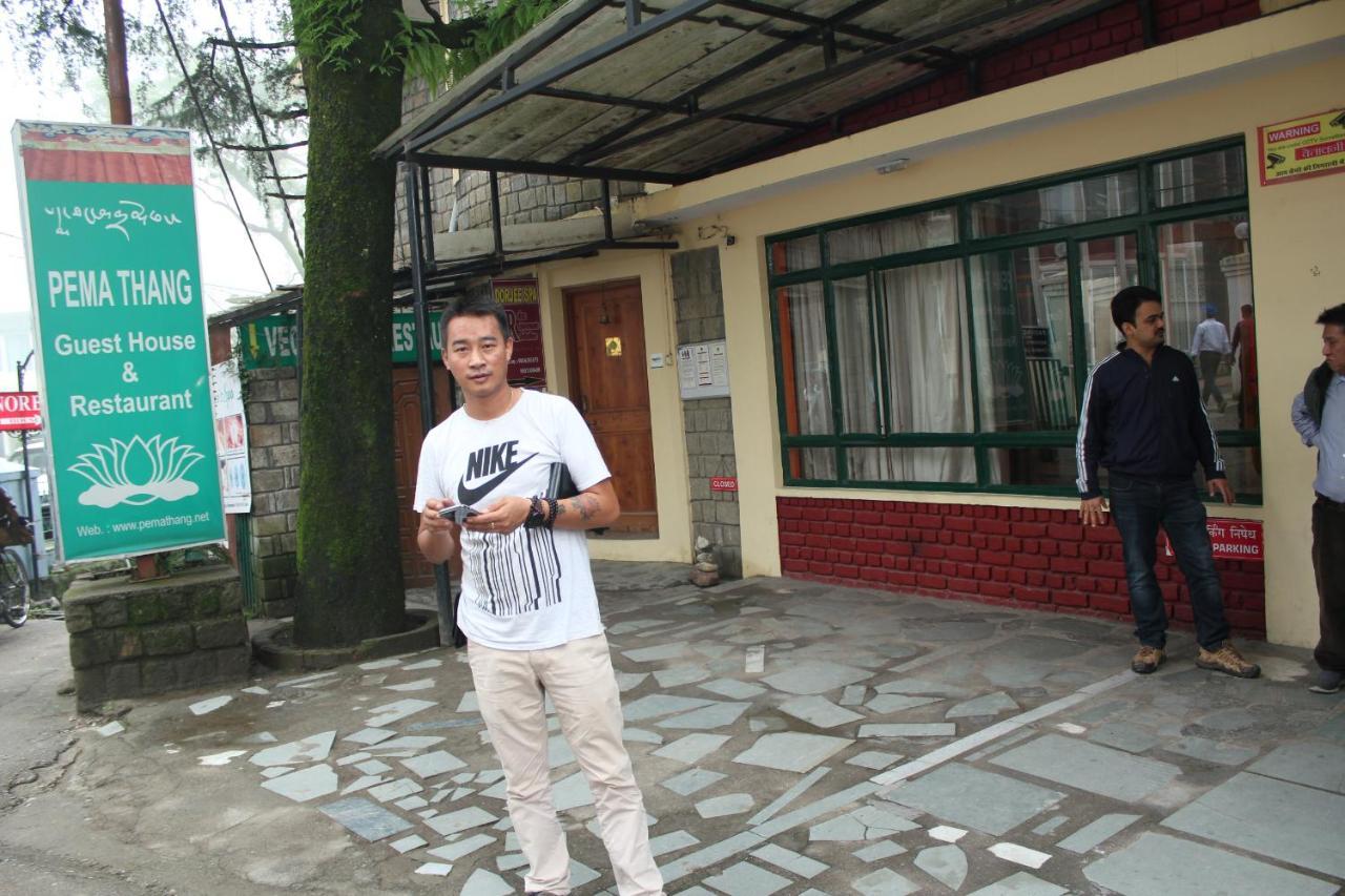Pema Thang Hotel Kangra Eksteriør billede