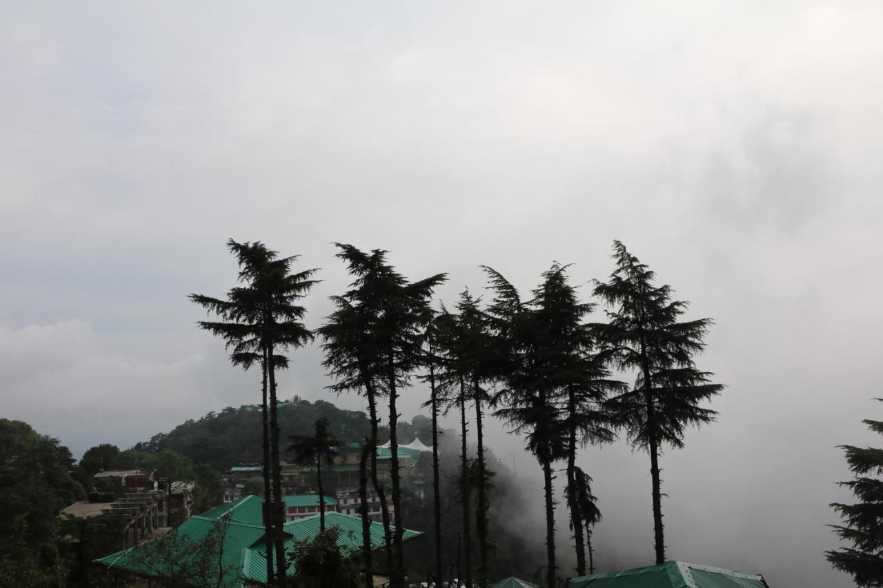 Pema Thang Hotel Kangra Eksteriør billede